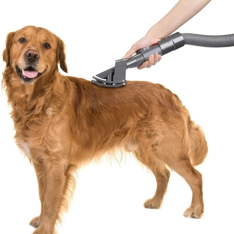 Multi-Purpose Pet Bed Cleaning Vacuum Brush Attachment